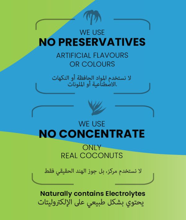 Rebound Detox Shot 4x (60ml) + Yu 100% Coconut Water 6x (200ml)